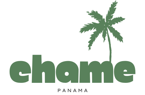 Discover Chame