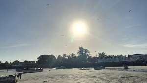 WhatsApp Image 2026-01-07 at 2.33.21 PM (1)