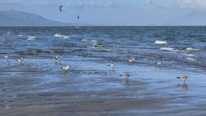 WhatsApp Image 2026-01-07 at 2.33.21 PM